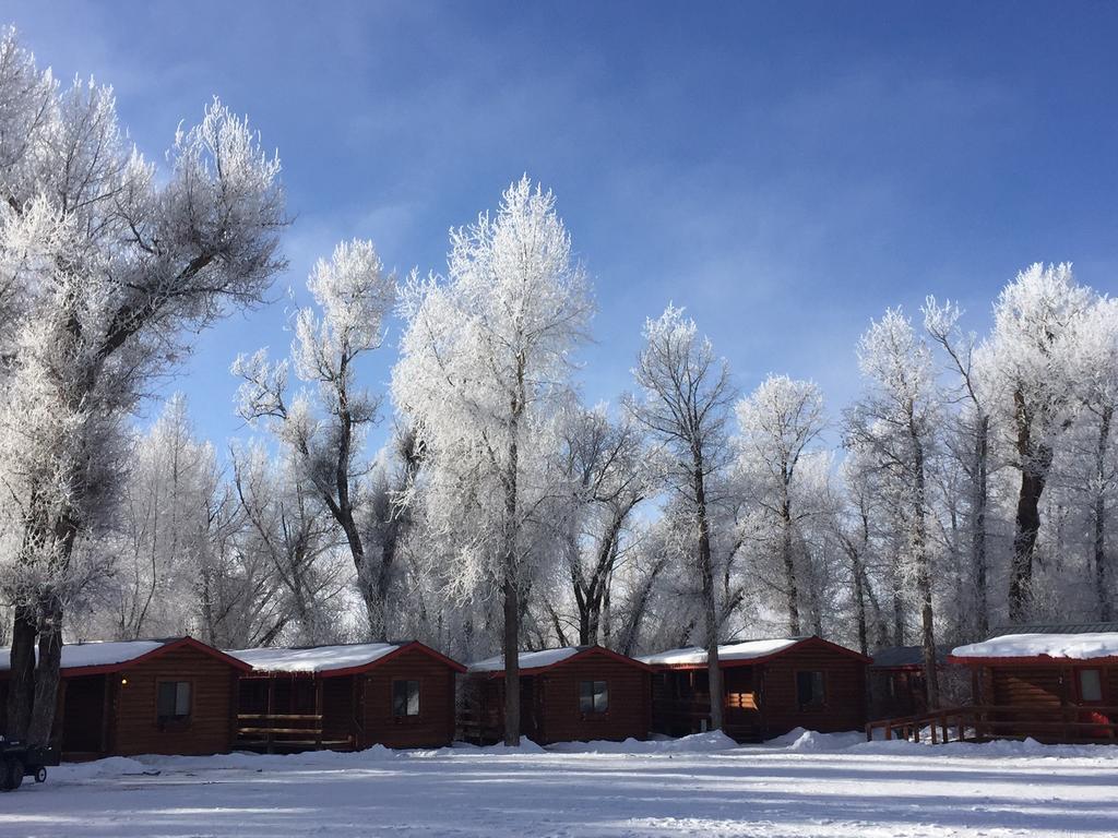 Teton Valley Cabins Driggs Eksteriør billede