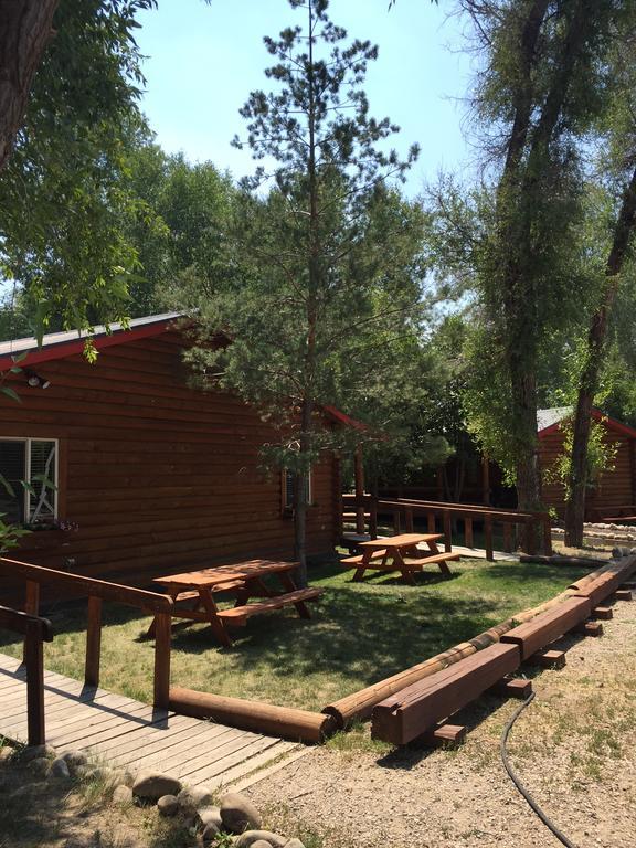Teton Valley Cabins Driggs Eksteriør billede