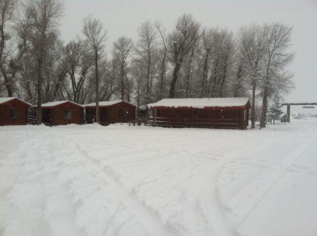Teton Valley Cabins Driggs Eksteriør billede